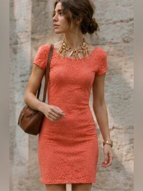 Velvet torch vintage Lace Dress